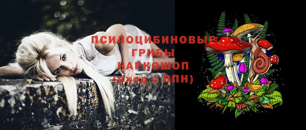 apvp Покровск