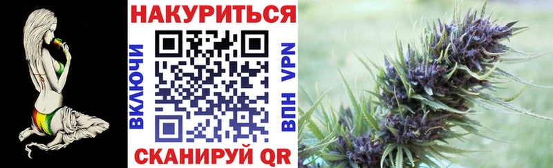Шишки марихуана планчик  Павловский Посад 